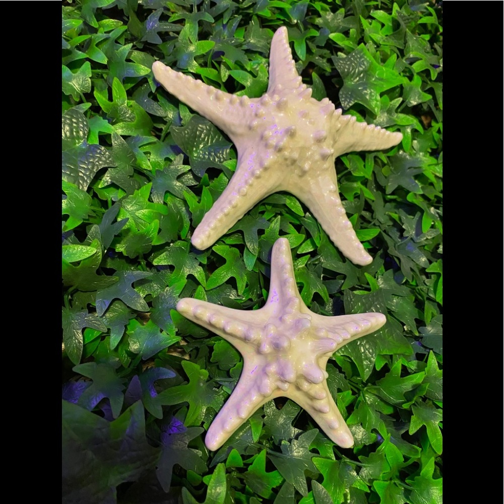 Starfish Wall Ornaments